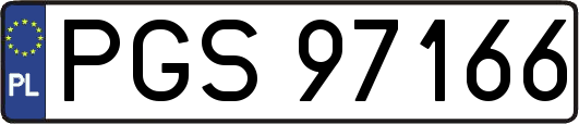 PGS97166