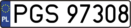 PGS97308