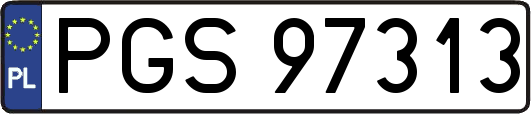 PGS97313