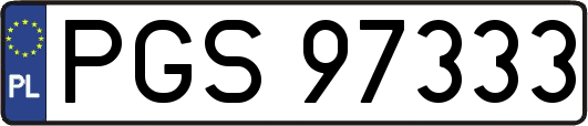 PGS97333