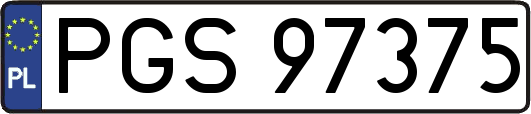 PGS97375