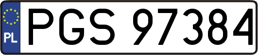 PGS97384
