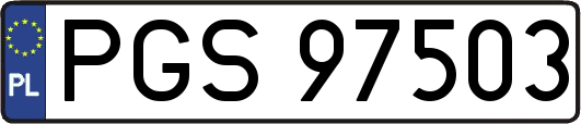 PGS97503