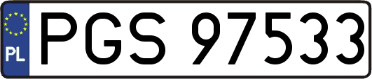 PGS97533