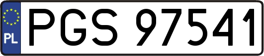 PGS97541
