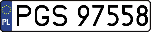 PGS97558
