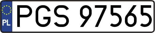 PGS97565