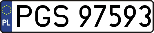 PGS97593
