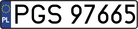 PGS97665