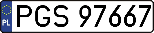PGS97667