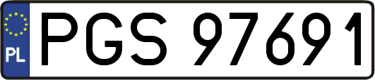 PGS97691