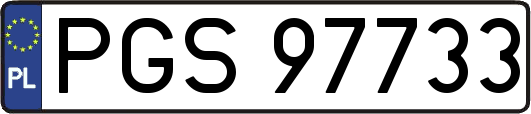 PGS97733