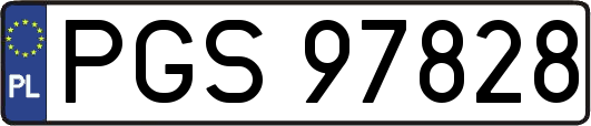 PGS97828