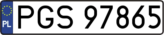 PGS97865