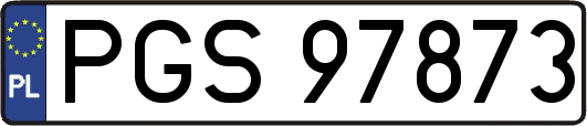 PGS97873