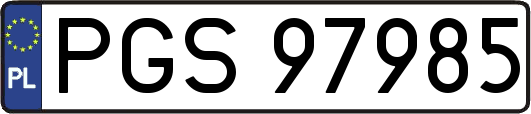 PGS97985