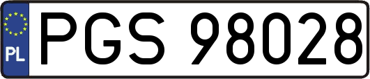 PGS98028