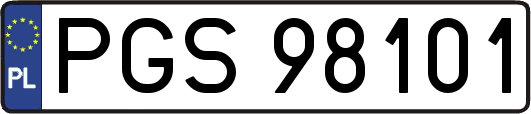 PGS98101