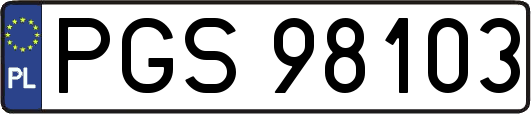 PGS98103