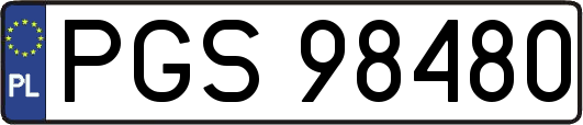 PGS98480