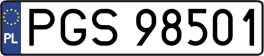 PGS98501