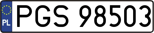 PGS98503