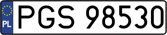 PGS98530