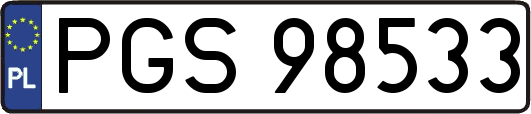PGS98533