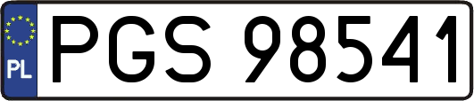 PGS98541