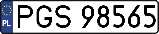 PGS98565