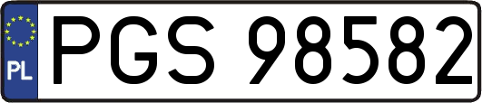 PGS98582