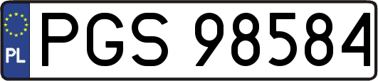 PGS98584