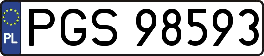 PGS98593