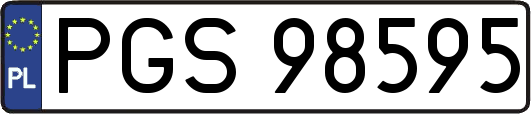 PGS98595