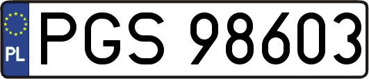 PGS98603