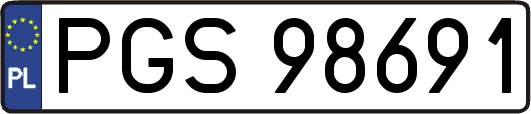 PGS98691