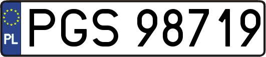PGS98719