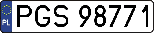 PGS98771