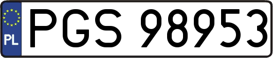 PGS98953