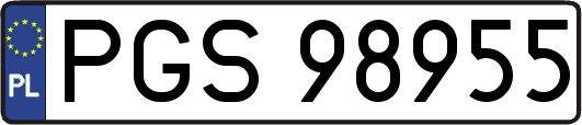 PGS98955
