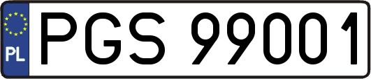 PGS99001