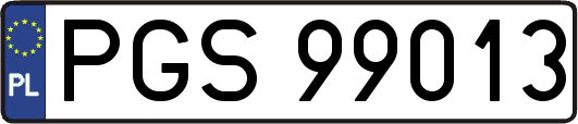 PGS99013