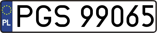 PGS99065