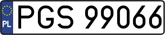 PGS99066