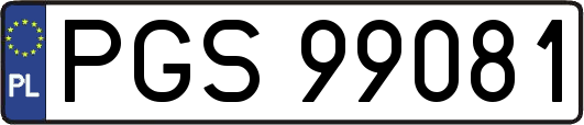 PGS99081