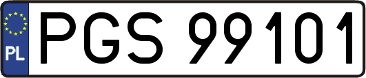 PGS99101