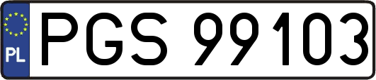 PGS99103
