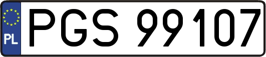 PGS99107