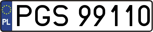PGS99110