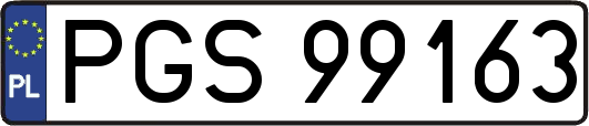 PGS99163